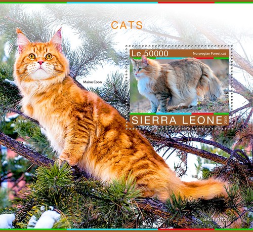 Francobolli gatti foresta - francobolli,