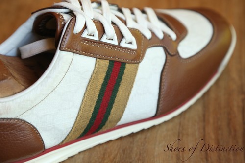 Gucci ace marrone bianco - gucci,