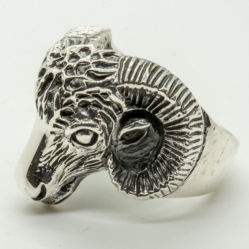 Ram testa anello teschio - testa,