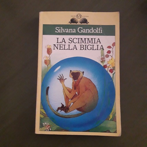 Scimmia nella biglia - scimmia,