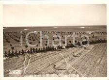 1939 LIBIA Case coloniche pronte attendono i coloni *Fotografie