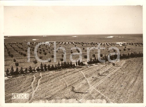 1939 libia case - libia, coloniche