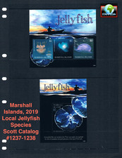 $22,00 Scott Value - 2019