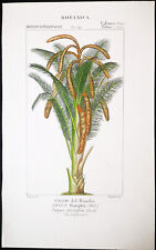 1831,TURPIN ORIGINALE FINE ANTICO ACQUERELLO set -2- PALME XV5