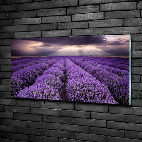 Quadro immagine arte parete - immagine,