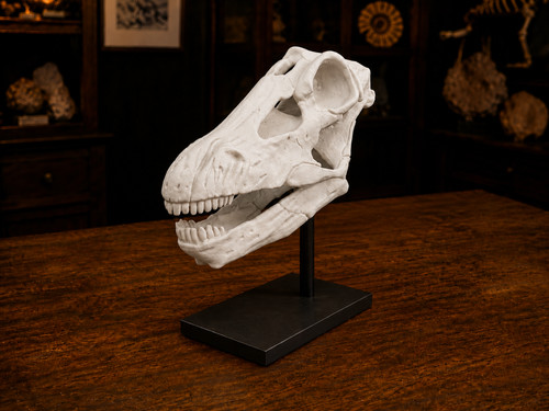 Apatosaurus skull white - pla, 3d