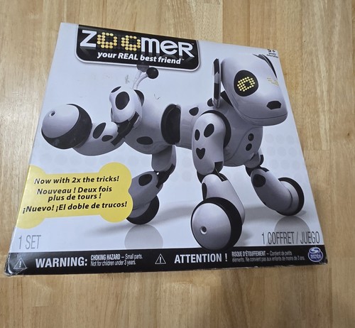 Zoomer cucciolo - zoomer, 2.0