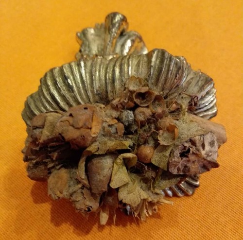 Soprammobile cornucopia