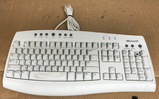 Vintage Microsoft Internet