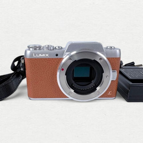 Panasonic lumix dmc - panasonic,