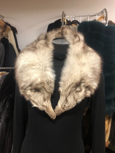 Volpe blu volpe collo