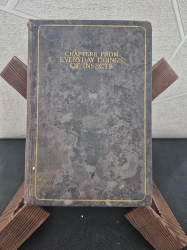 Chapters from everyday - chapters,