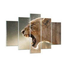 Quadro su Vetro 150x100cm