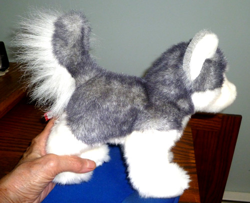 Douglas siberian husky - siberian, peluche