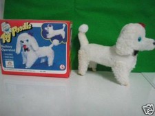 CANE CAGNOLINO BARBONCINO