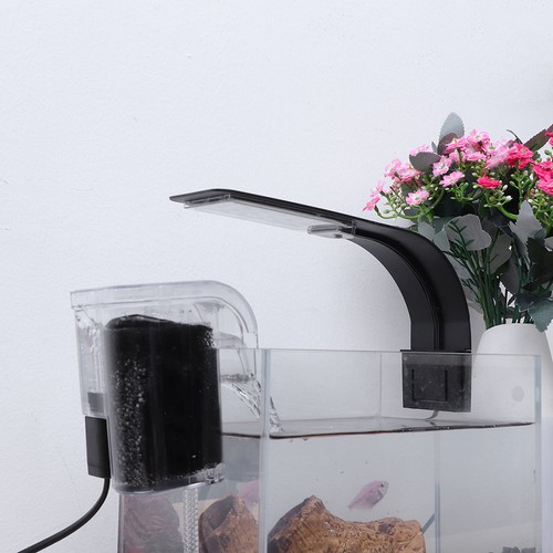 Luce led per - per, acquario