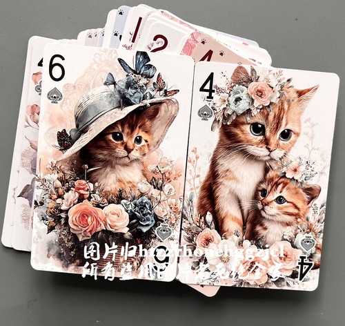 Cute cat photo kitten - cat, picture