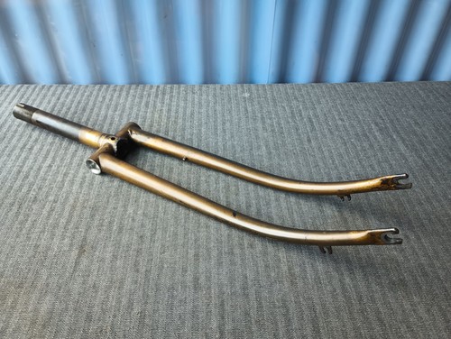 Rara bicicletta leggera uomo