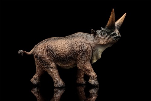 Tng arsinoitherium modello - tng,