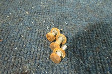 OEM DUCATI INDIANA 650 350