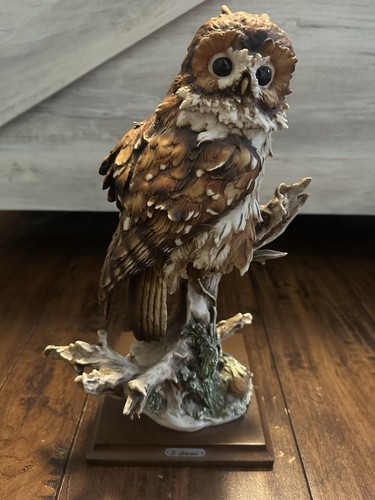 Giuseppe armani brown - giuseppe, owl