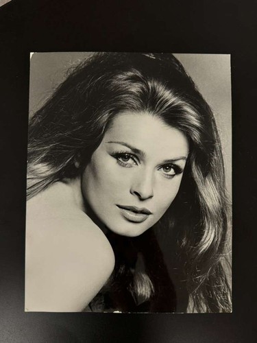 Foto oversize hollywood senta - foto,