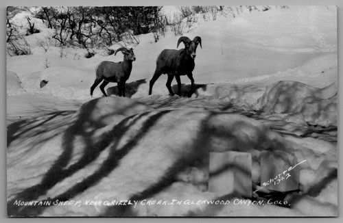 Cartolina fotografica epoca - cartolina,