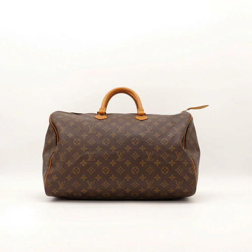 Sac main louis vuitton - main,