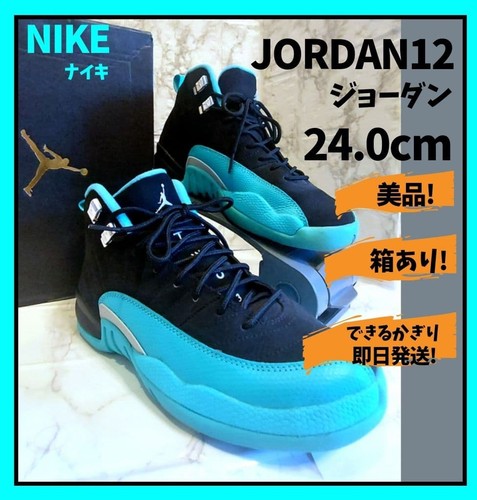 Nike air jordan retro - 12,
