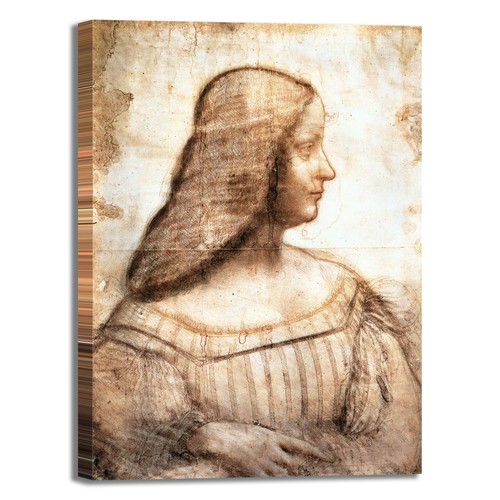 Vinci ritratto isabella - vinci,