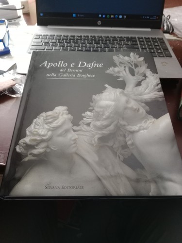 Apollo dafne del bernini - apollo,