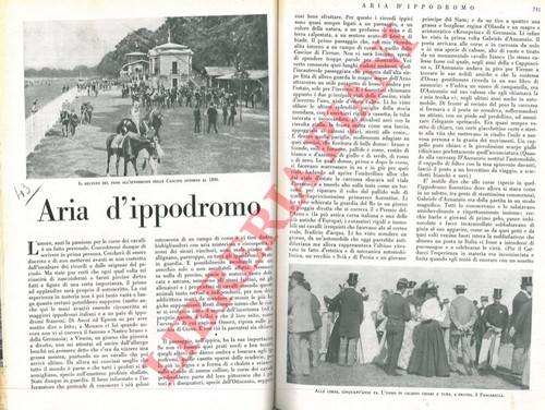 Ippica franci aria - ippica,