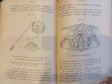 1904 La Medicina Legale