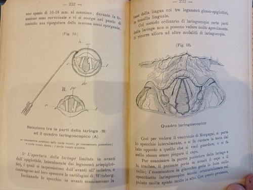 1904 medicina legale - la,