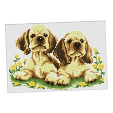 Dimensions Crafts Kit Punto