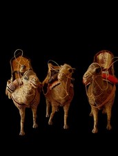 Animali Presepe 3  Dromedari (