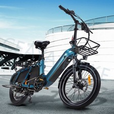 eBike 20 pollici e-mountain