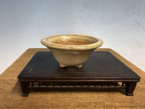 Vaso per bonsai tokoname - per,