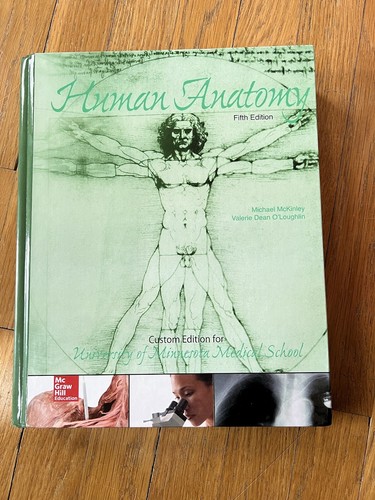Human anatomy university - human, (university