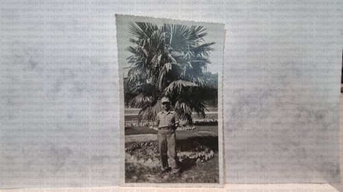 2GM-Soldato-Palma-A065-87