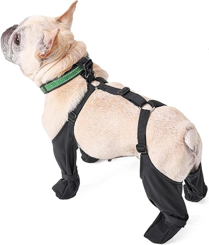 Stivali per cani con leggings - con,