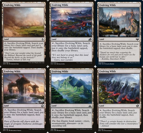 Lotto sfuso 100 evolving wilds - lotto,