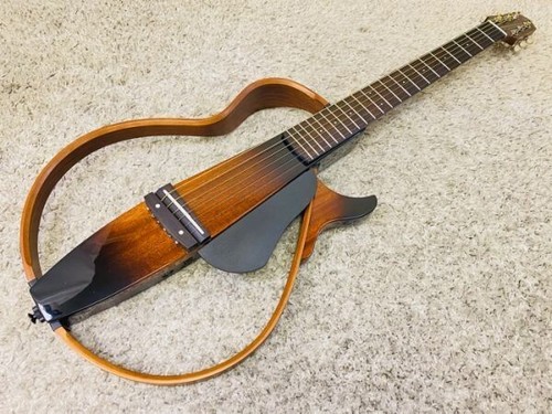 Chitarra elettrica acustica