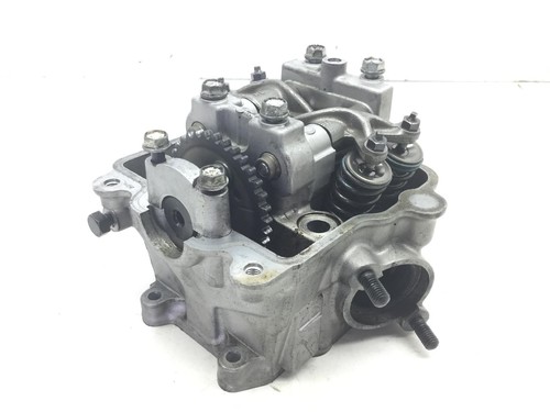 Testa testata head completa - testa,