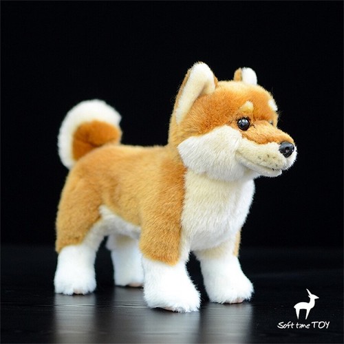 Simulazione giapponese akita - simulazione,