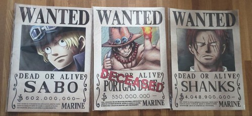 One piece wanted poster - one,