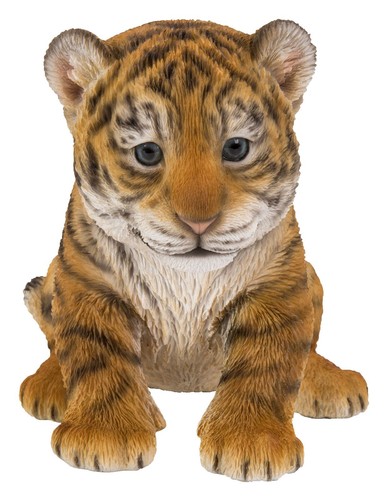 Cubo tigre regalo - tigre,