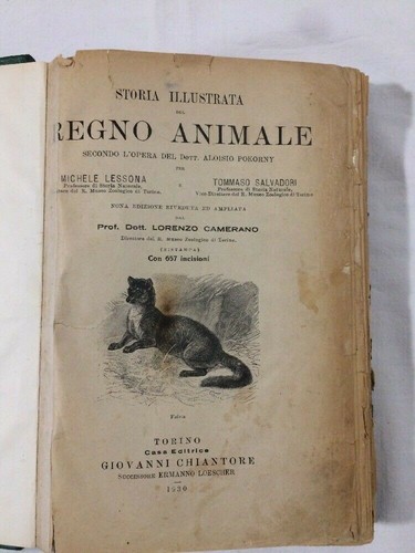Libro storia illustrata - libro,