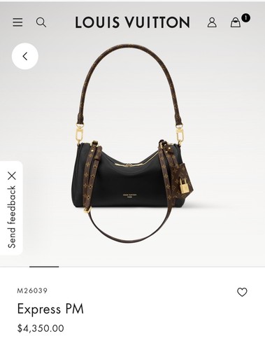 Louis vuitton express 100 - pm, 100%