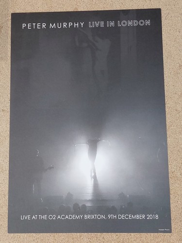 Peter murphy live in london - murphy,